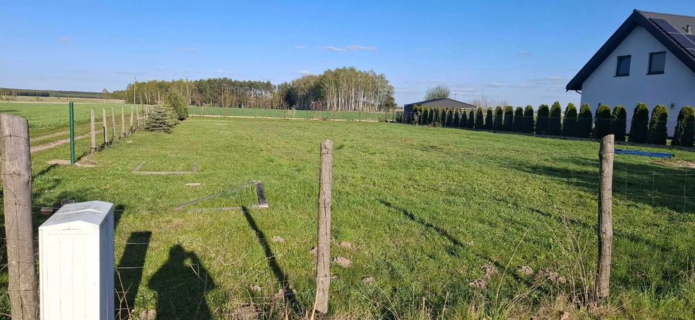 Zdjęcie 5
