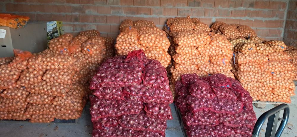 Cebula Prosto z Gospodarstwa