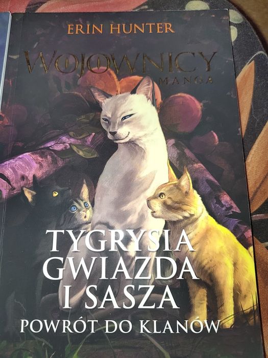 Mangi wojownicy 3 sztuki