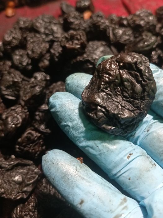 Продам чорносливс  без кісточки