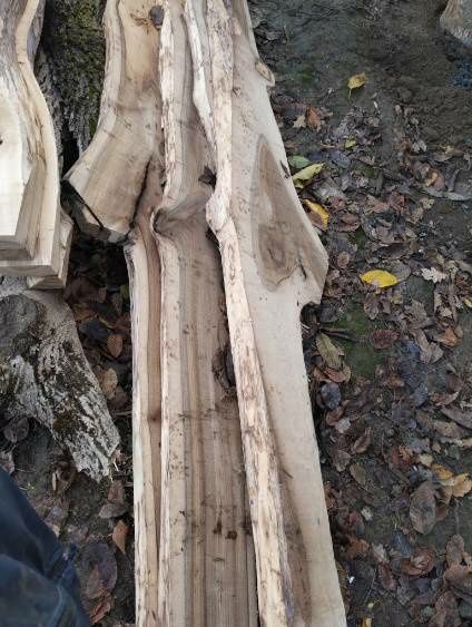 Deski orzecha włoskiego