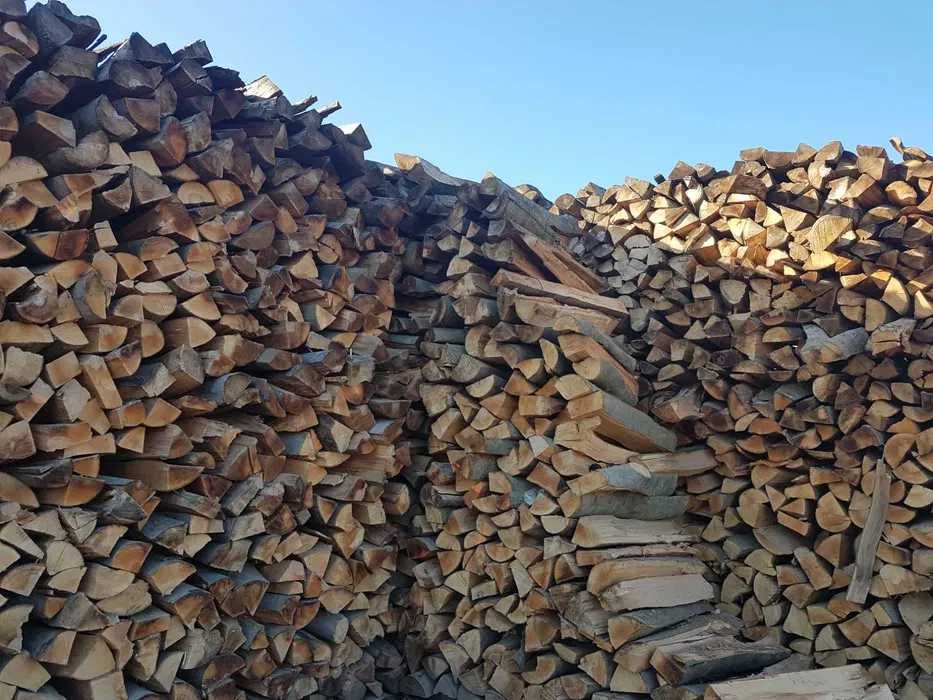 Suche drewno kominkowe i opałowe