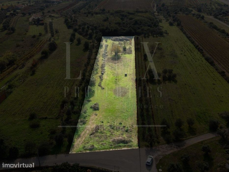 Terreno | Ventosa do Bairro, Mealhada