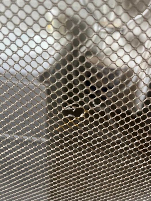 Artigos de bébé conjunto