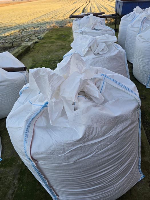 Ziarno kukurydzy gniecione zbiór 2025