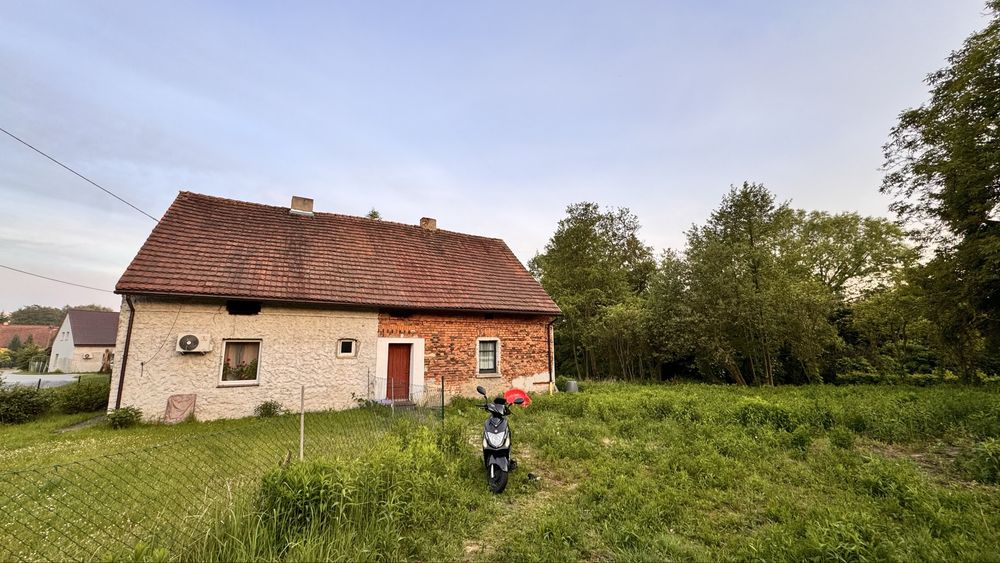 Bliźniak z dužą dzialką