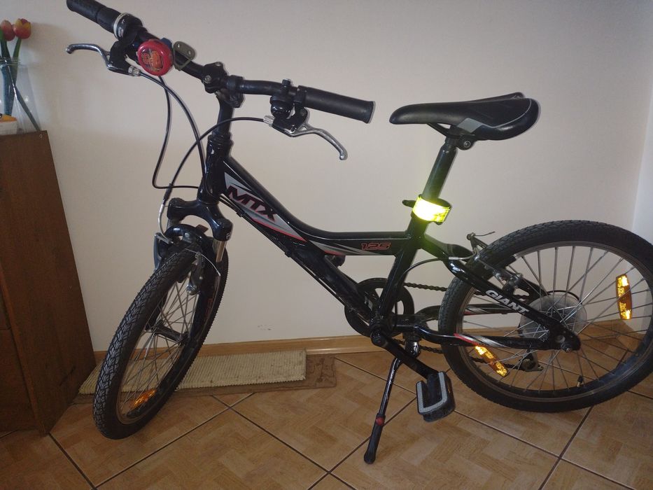 Rower 20" Giant MTX
