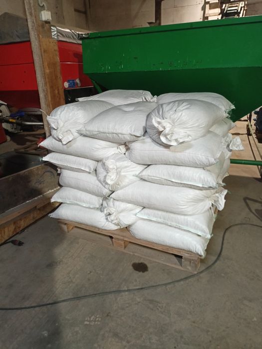 Nasiona fasoli odmiany UNIDOR