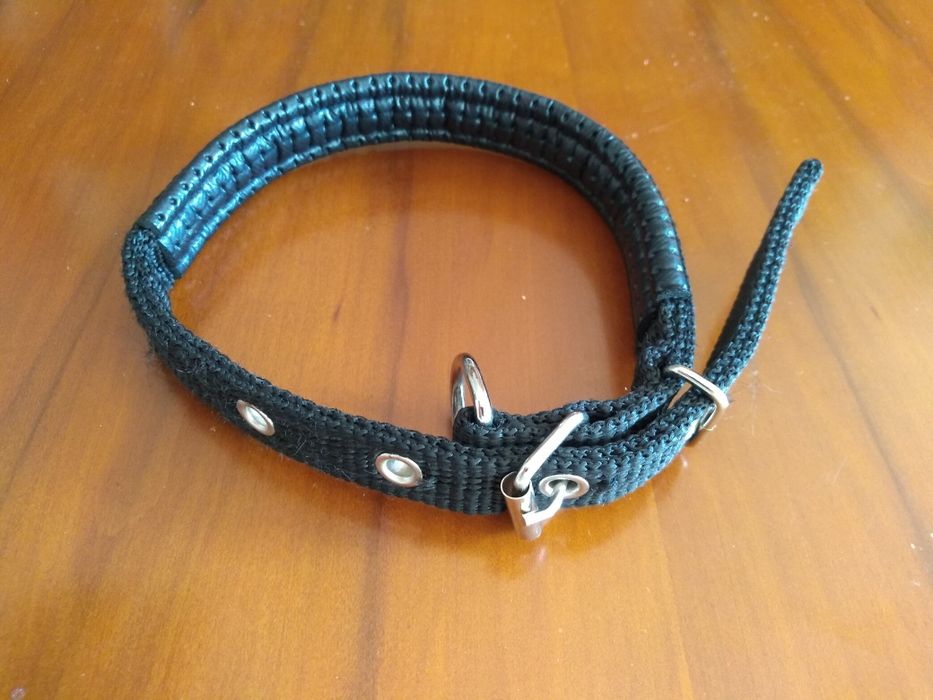 Coleira Nova cão porte pequeno/médio