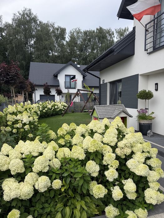 Dom – Wola Rasztowska, Osiedle - Widok 4
