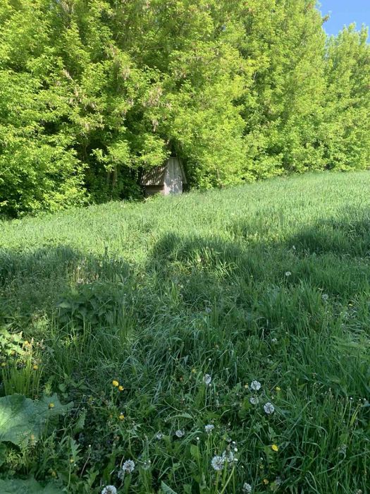 Продам дачу на хуторі