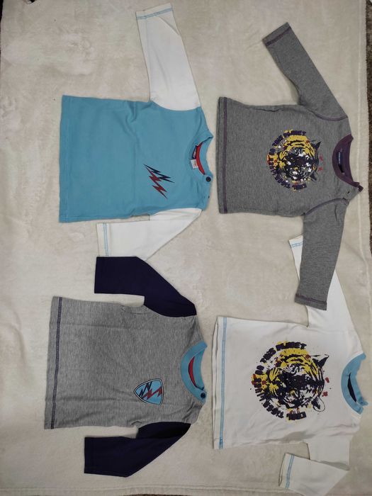 Lote de roupa dos 74 a 80 cm