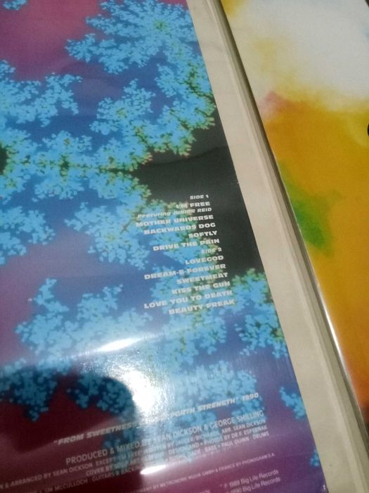 Vinyl – The Soup Dragons – Lovegod + Hotwired