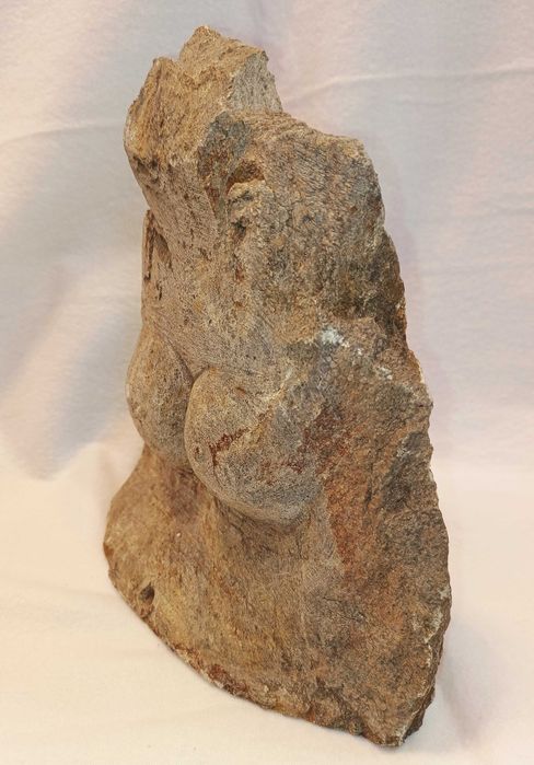 Escultura Dorso Xisto