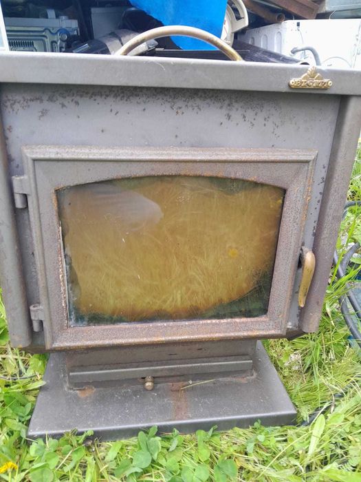 Salamandra em bom estado