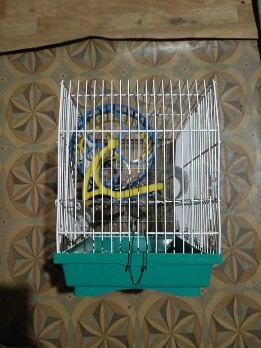 Клітка Природа для дрібних декоративних гризунів 31x35x22 см