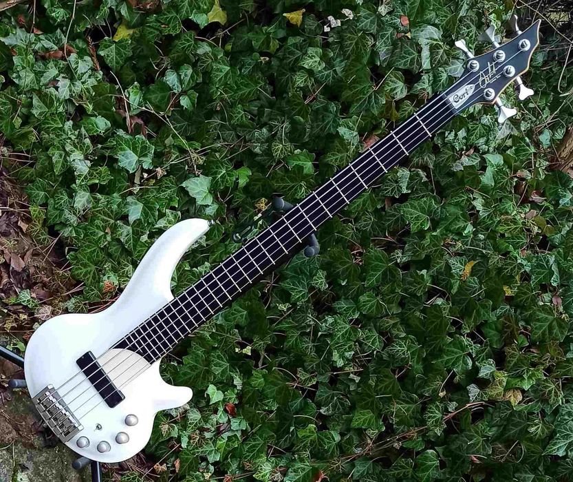 Gitara basowa Cort Curbow 5- Korea