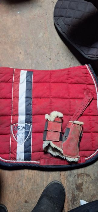 Sprzęt jeździecki tanio opis!