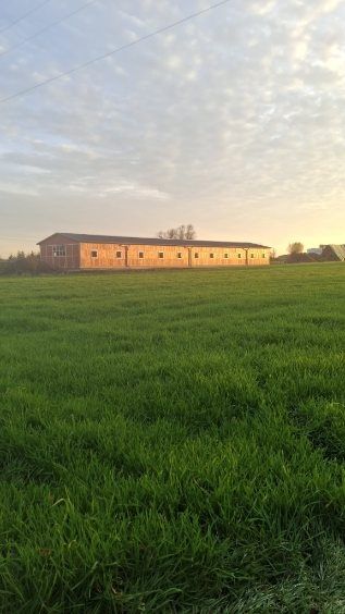 Wynajme boksy w nowopowstałej stajni