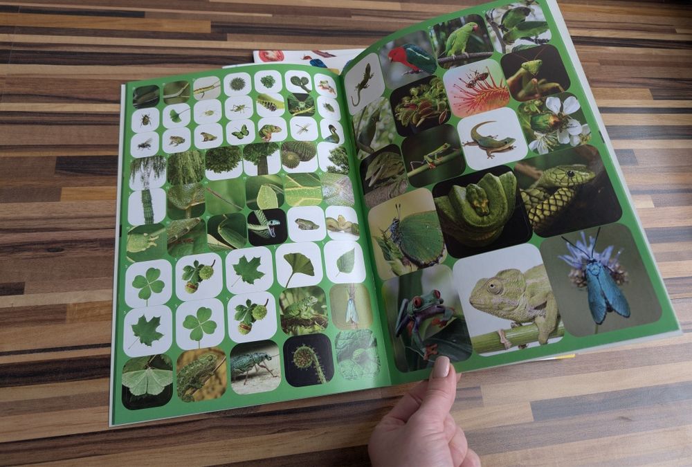 Zestaw młodzi przyrodnicy kolorowa przyroda żółta niebieska czerwona