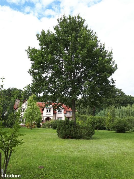 Dom – Marcinowice, Suchowo - Widok 3