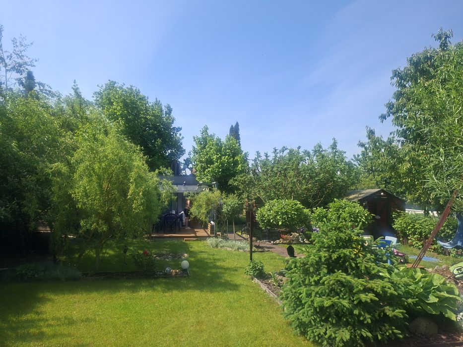 Piękna działka ROD w Słocinie
