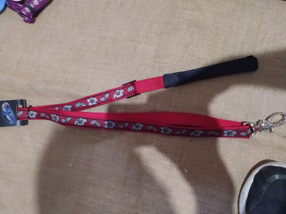 Trelas RedDingo.64585347277826123