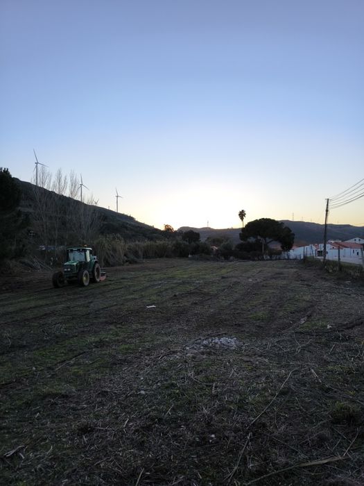 Limpeza / desmatação de terrenos, corte de árvores