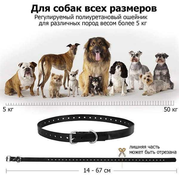 Электроошейник для дрессировки собак DTC-800 (RT-880). Електронашийник