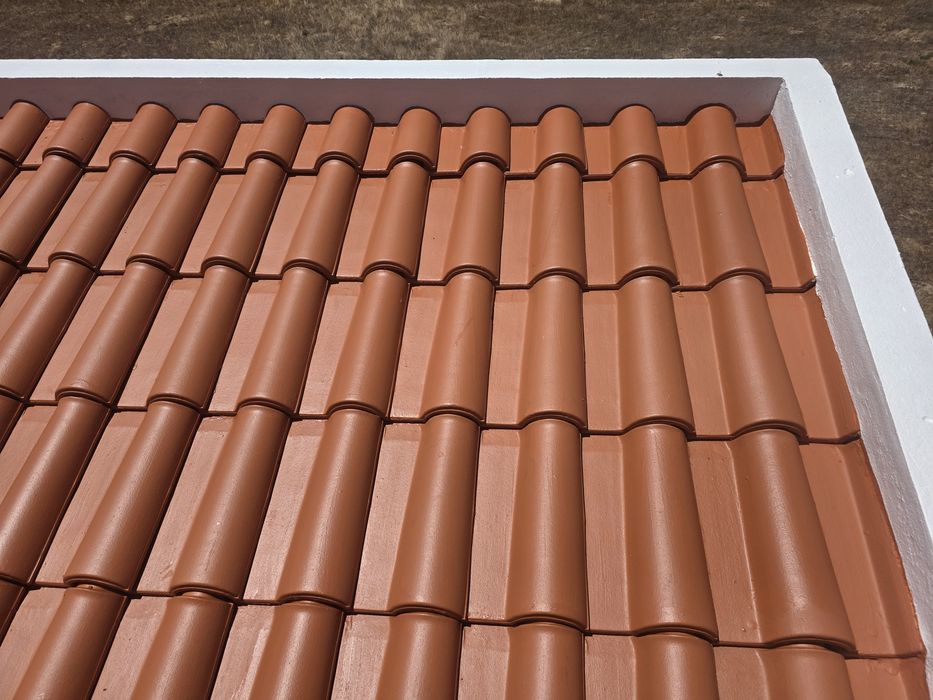 Limpeza Telhados/Reparação de infiltrações/Isolamentos todo o tipo / Pinturas Gerais/Remodelações