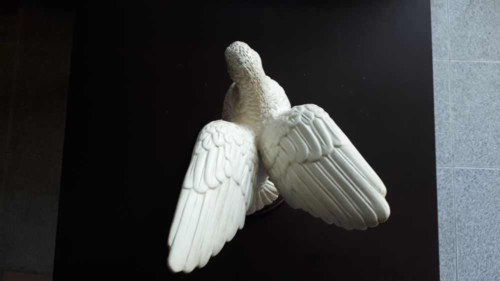 Pomba para decoração