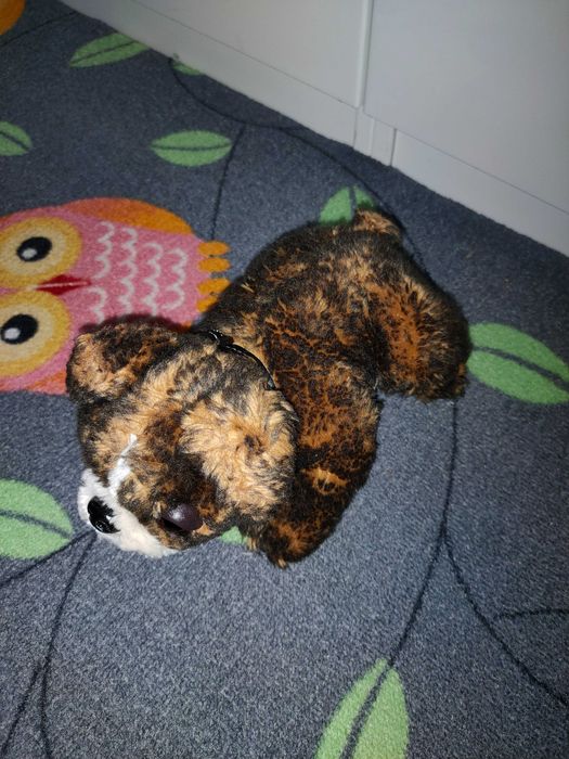 piesek przytulanka maskotka