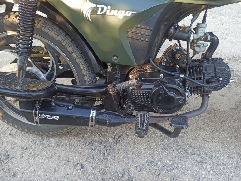Mustang dingo 125