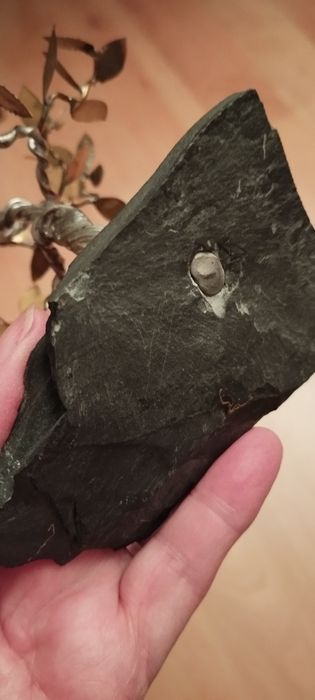 Drzewko szczęścia- rzeźba