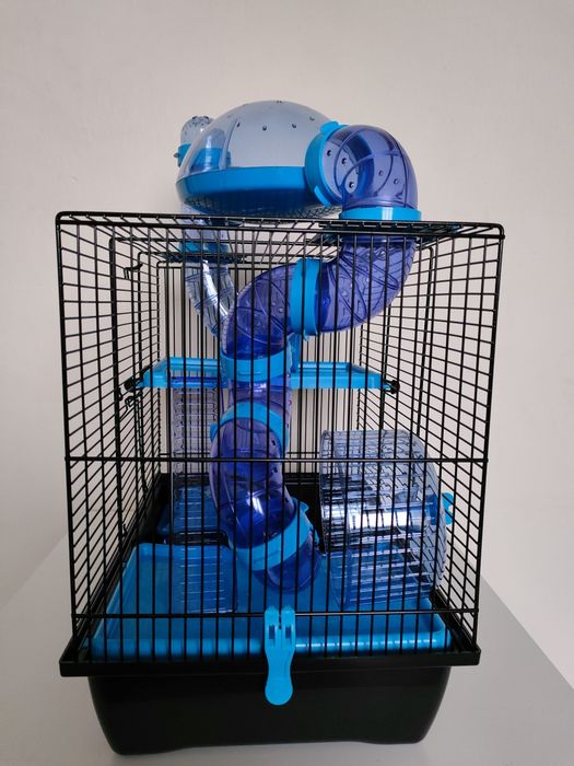 Klatka dla chomika gungalskiego z wyposażenie.