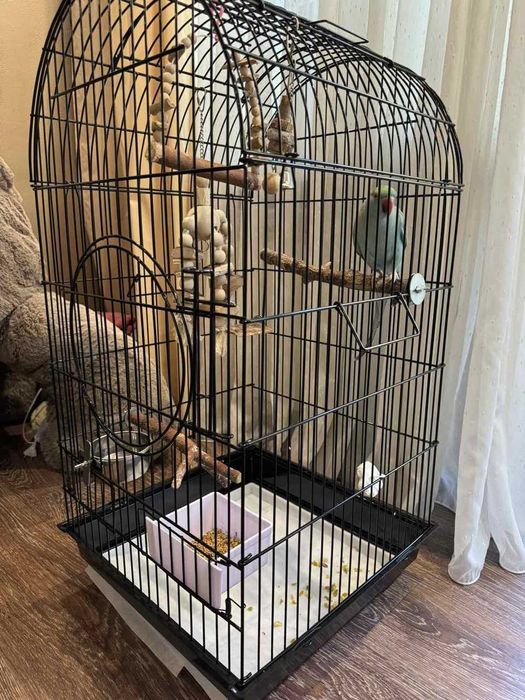 Большая  для средних попугаев,100х55х55 см, с открывающимся верхом