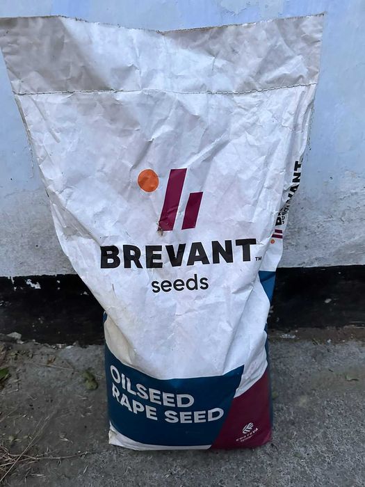 Рапс PR44D06 насіння озимого ріпаку