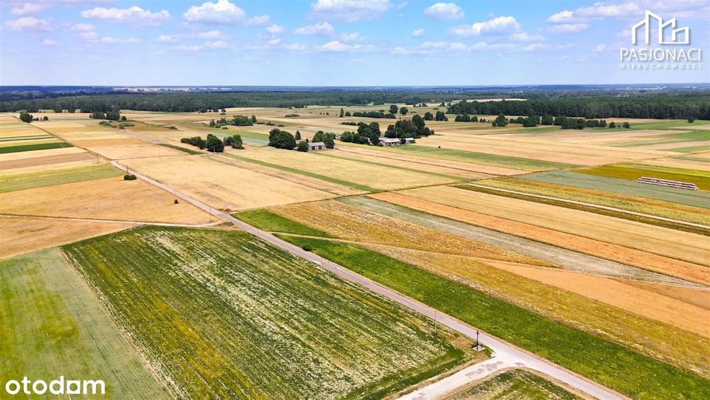 Działki pod dom | Mpzp | Droga asfaltowa
