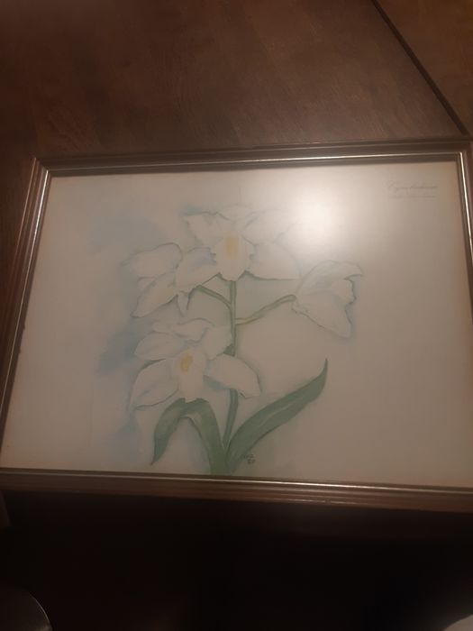 Framed Picture64750945238914123