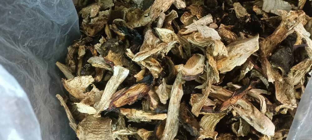 Продам гриби сушені