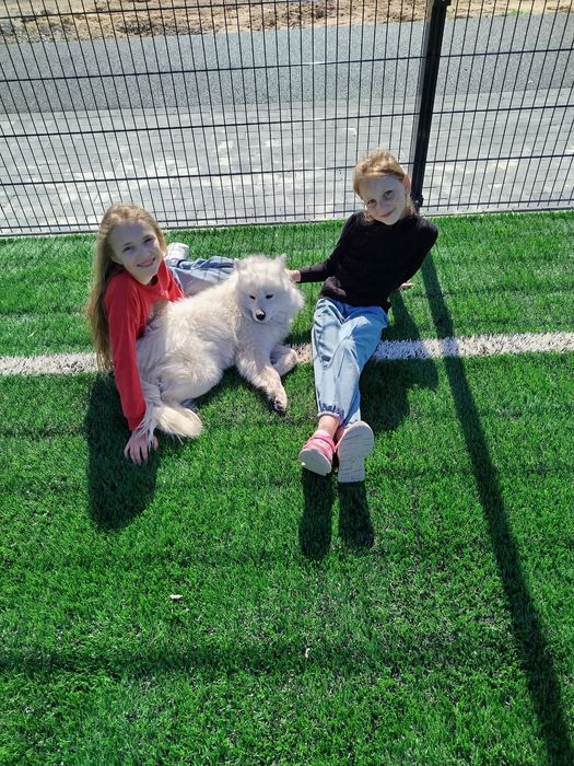 Самоїд дівчинка для в'язкі