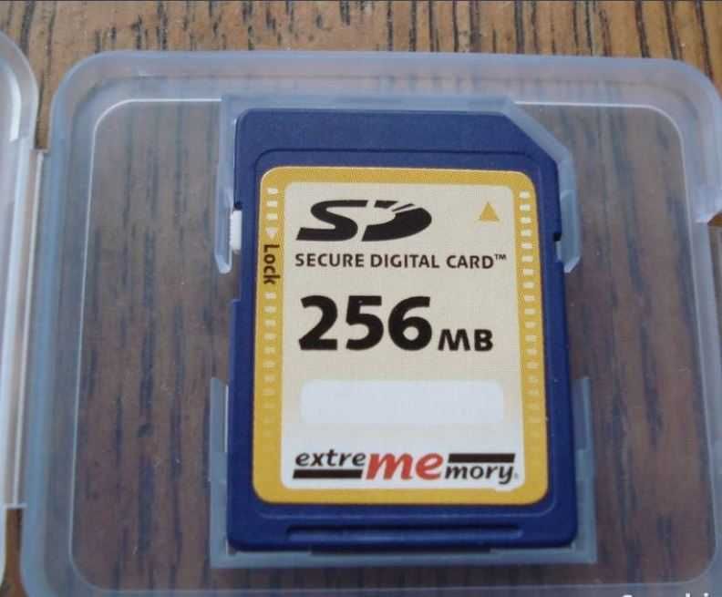 Karta SD 256 MB dedykowana do Korg Pa500 SD na wesela imprezy