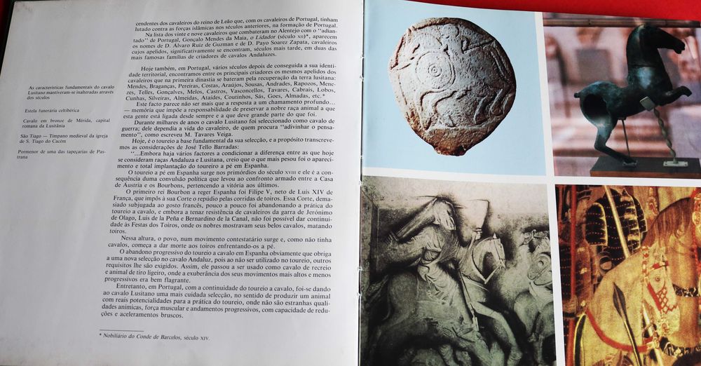 Arte Equestre: Cavalo Lusitano - O Filho do Vento, livro 1993