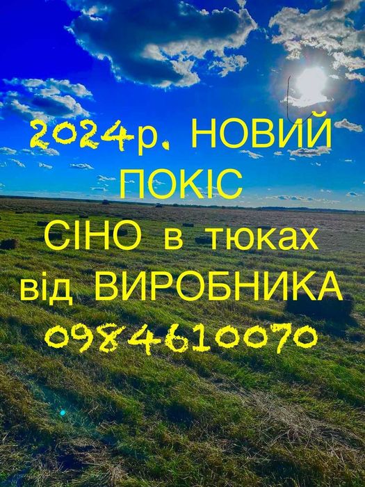 Сіно(сено) в тюках 2025р.. від ВИРОБНИКА