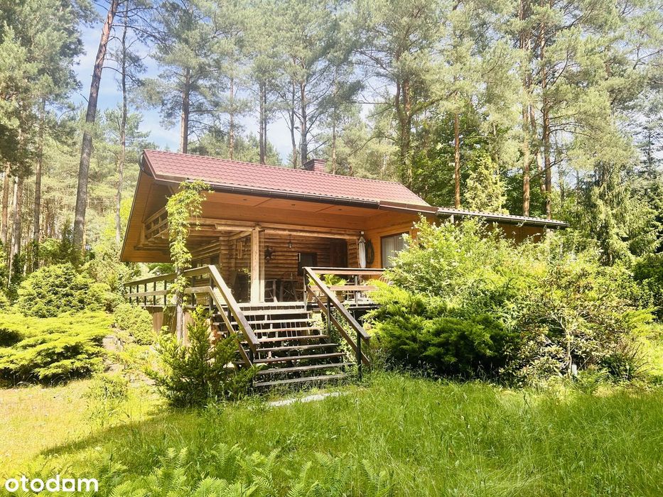 Domek letniskowy z bala, odremontowany, działka 2700, las