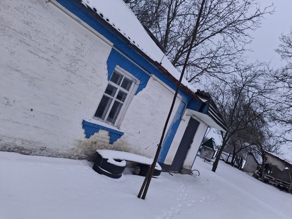 Продається будинок в селі Дмитрушки.