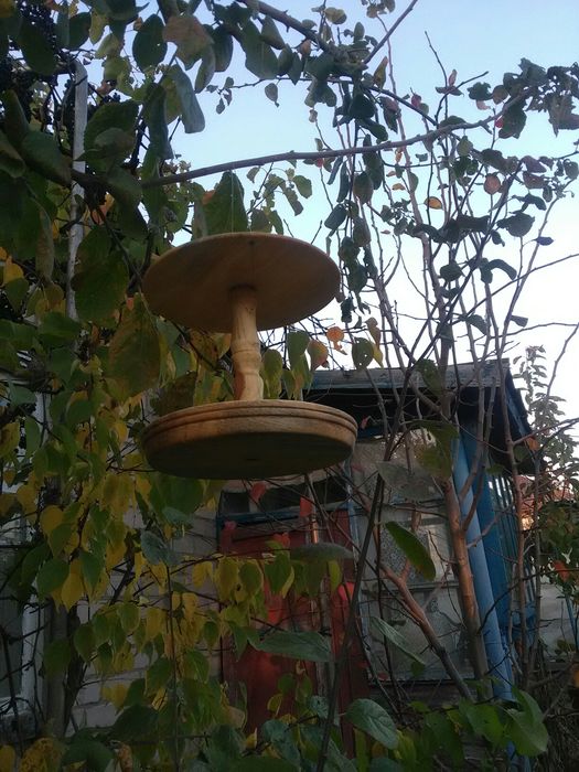 Кормушки для птичек