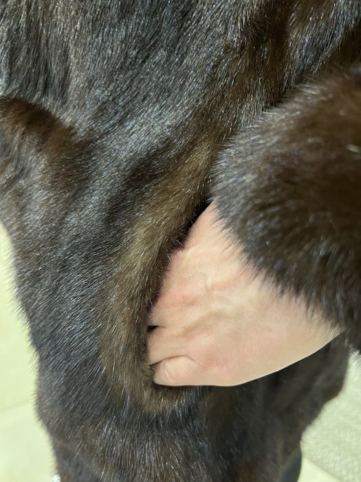 Щуба норкова б/у