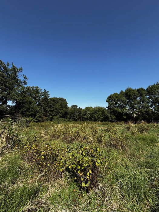 DZIAŁKA W BĘDKOWICACH/SOBÓTKA – u podnóża Ślęży, cisza, natura i świetna lokalizacja - Widok 5