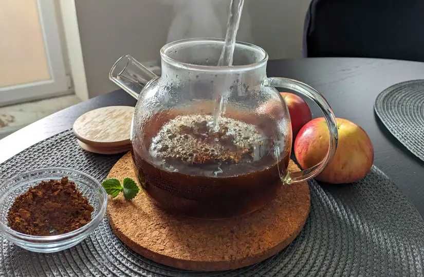 ЧАГА БЕРЕЗОВАЯ (Карпатский гриб) Цельная и Молотая